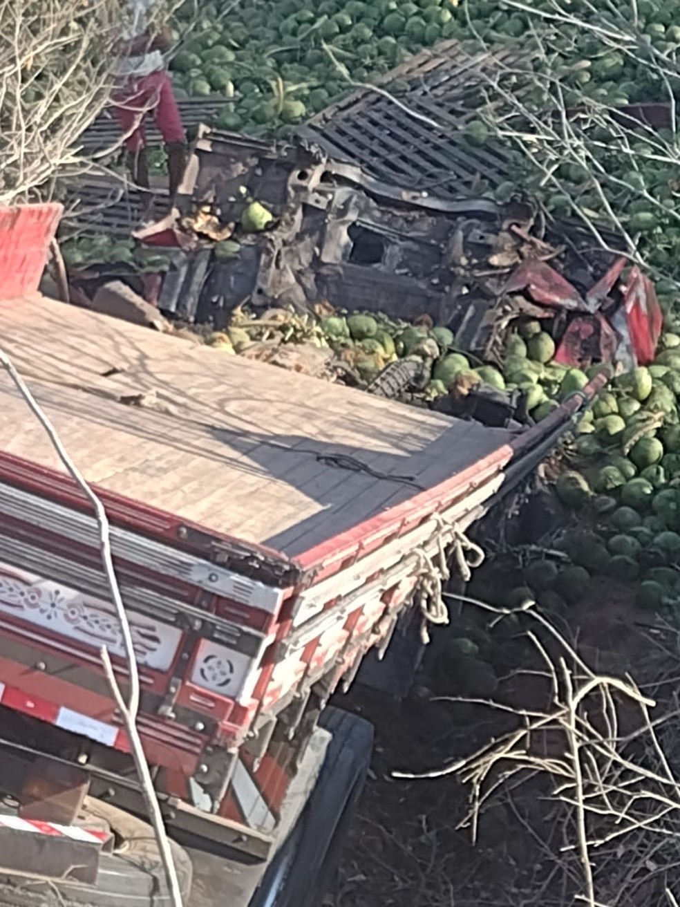 Acidente entre ônibus e caminhão deixa passageiros feridos na BR-316, no Piauí — Foto: Reprodução