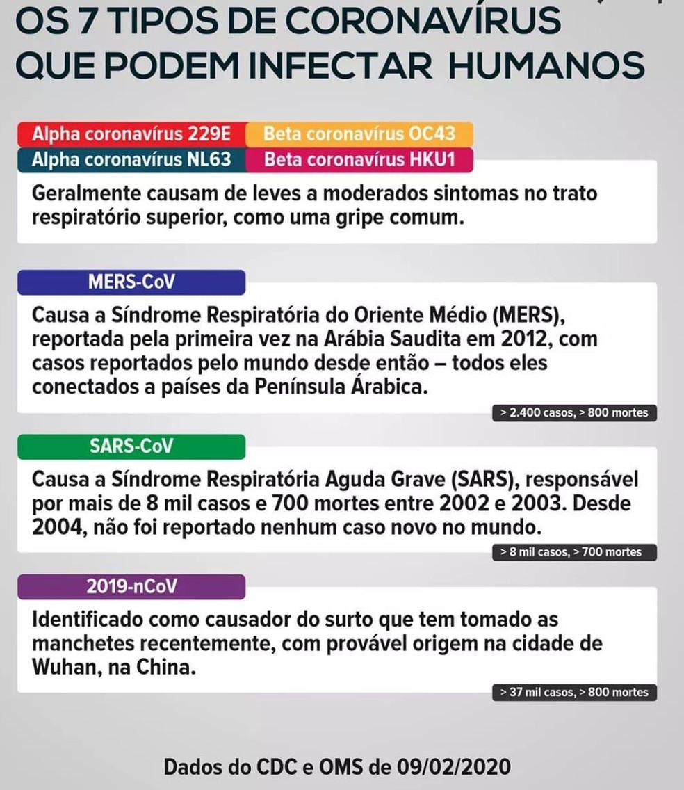 Quadro mostra os sete tipos de coronavírus que podem infectar humanos — Foto: Reprodução