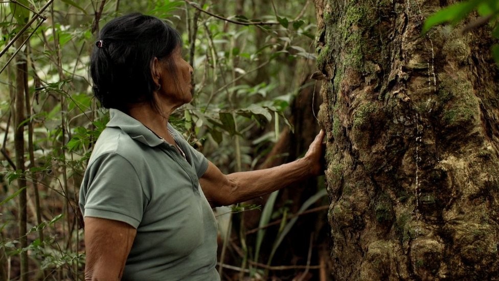 Durante mais de 30 anos, a indústria da borracha escravizou povos indígenas da Amazônia até serem quase dizimados (Foto: BBC Mundo)