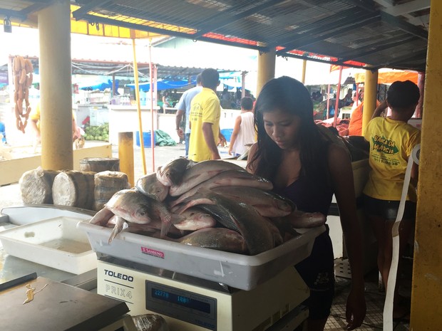 Quilo do peixe varia de R$ 6 à R$ 71,40 em Boa Vista  (Foto: Inaê Brandão/ G1 RR)