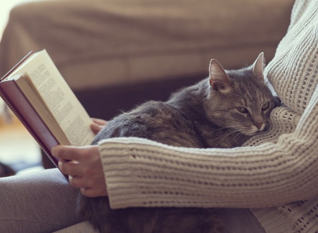 gato-gosta-de-voce-colo-do-dono-lendo-livro (Foto: Thinkstock)