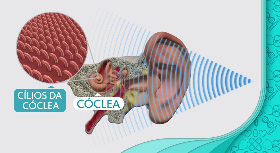  — Foto: Arte/TV Globo