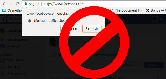 Descubra como impedir que sites fiquem pedindo para mostrar notificações (Foto: Reprodução/Edivaldo Brito)