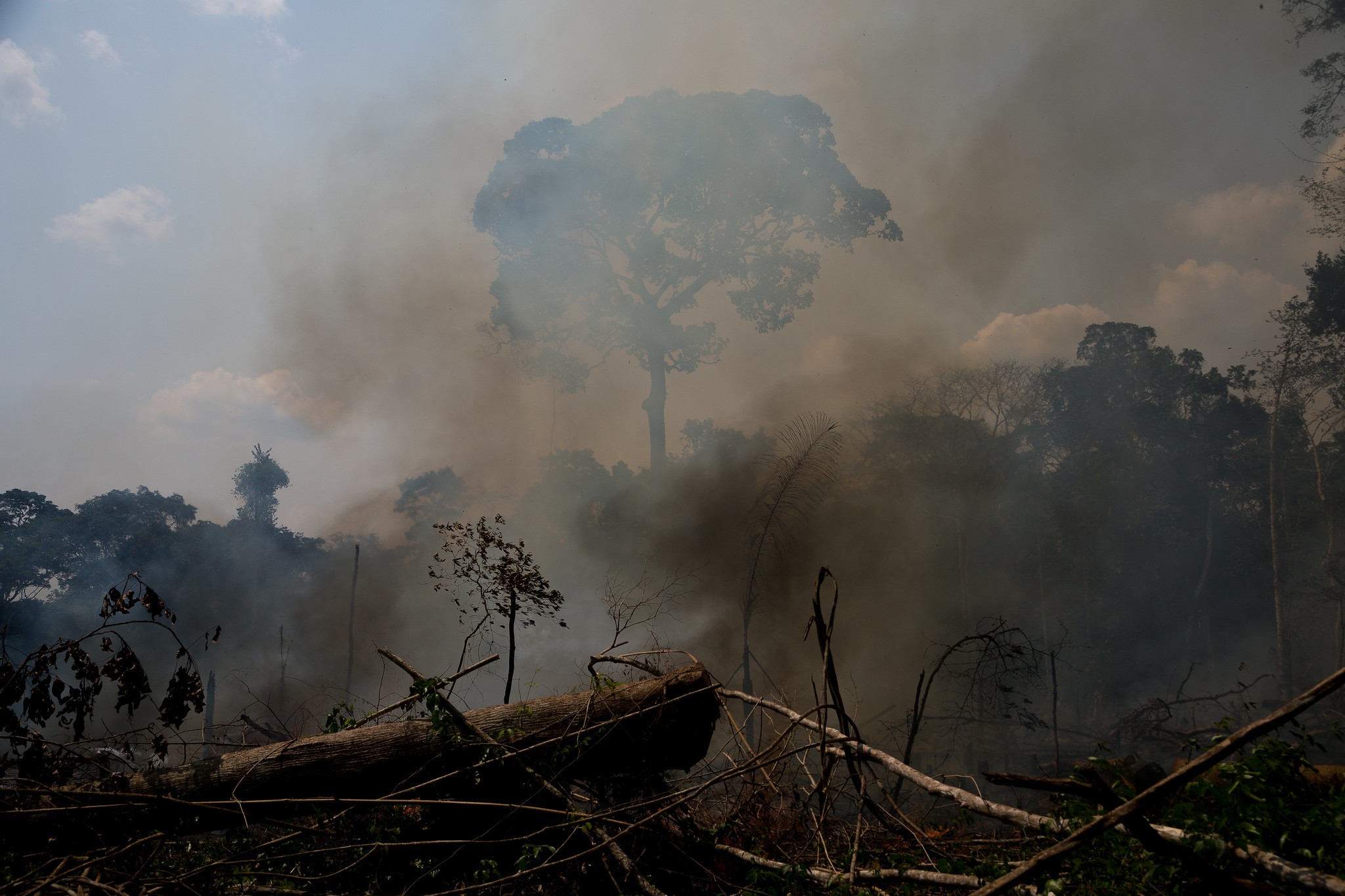 40% da Amazônia já poderia se transformar em savana, aponta estudo (Foto: Katie Maehler / Mídia NINJA)