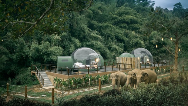 Jungle Bubbles, hotel que oferece cápsulas de vidro para hóspedes (Foto: Divulgação )