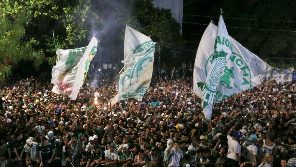 Torcida do Palmeiras na Academia de Futebol — Foto: Fabio Menotti/Palmeiras