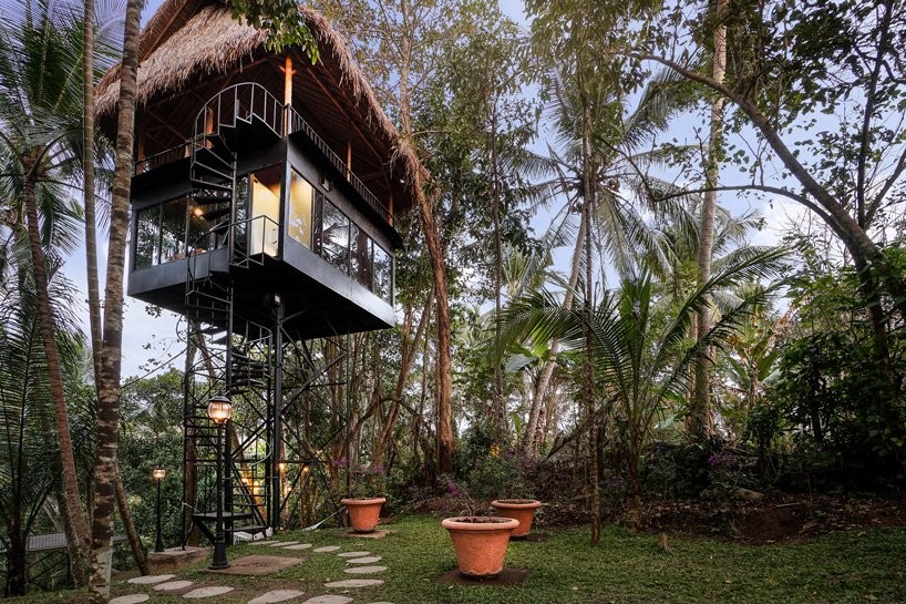 Com vistas deslumbrantes, casa na árvore em Bali pode ser alugada por R$ 191 (Foto: Divulgação)
