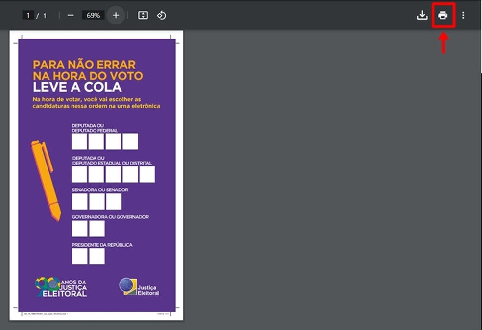 Eleitor deve clicar no botão correto para configurar a impressão do arquivo — Foto: Reprodução/Gabriela Andrade