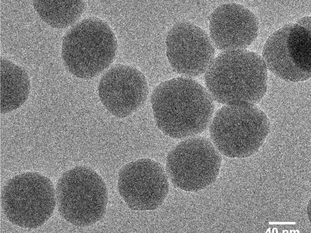 Microscopia eletrônica de transmissão (LNNano) das nanopartículas de sílica contendo curcumina recobertas por folato. (Foto: Laboratório Nacional de Luz Síncrotron)