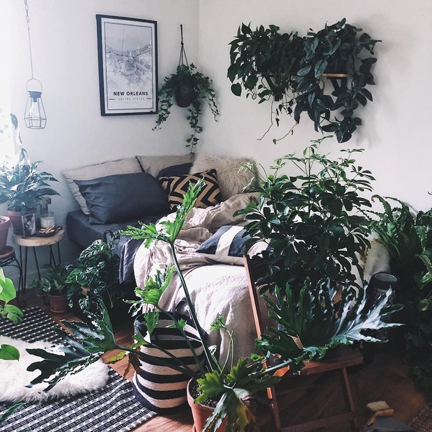 Décor do dia: sala de estar escura na tendência urban jungle - Casa Vogue