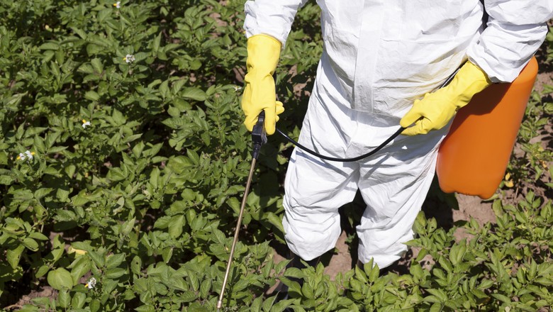 herbicida-agrotoxico-agricultura-plantação-aplicacao (Foto: Thinkstock)