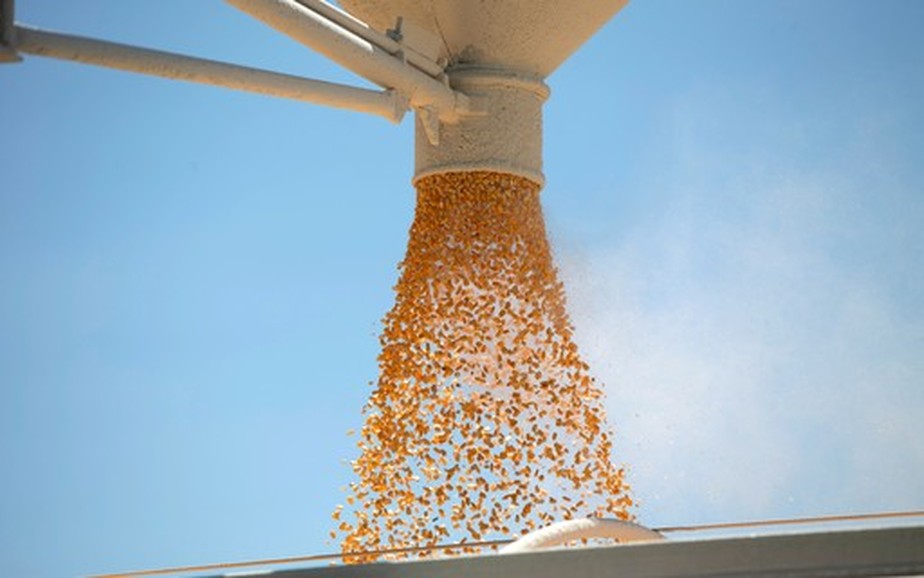 Exportação de milho deve superar 43 milhões de toneladas neste ano