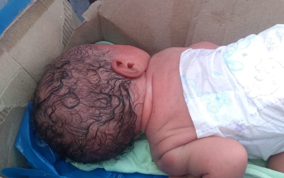 Recém-nascida é encontrada ao lado de um contêiner de lixo, em Salvador — Foto: Redes Sociais