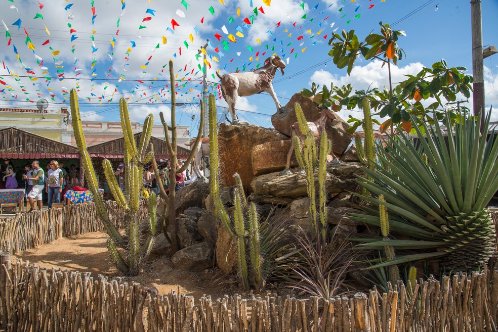 Festa do Bode Rei que acontece em Cabaceiras, no Cariri da Paraíba, entre 31 de maio e 2 de junho.  — Foto: Divulgação