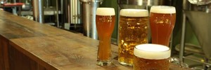 Rota das Cervejarias Artesanais 
tem 14 pontos de parada em SC (Cervejaria Holzweg/Divulgação)