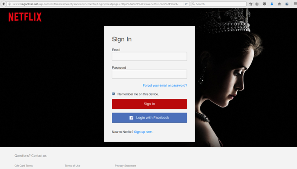 Visualmente site é semelhante a do Netflix, mas URL na barra de endereços é diferente (Foto: Divulgação/MailGuard) (Foto: MailGuard)