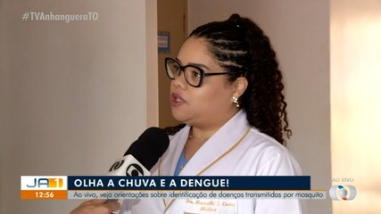 Saiba como identificar doenças transmitidas por mosquitos