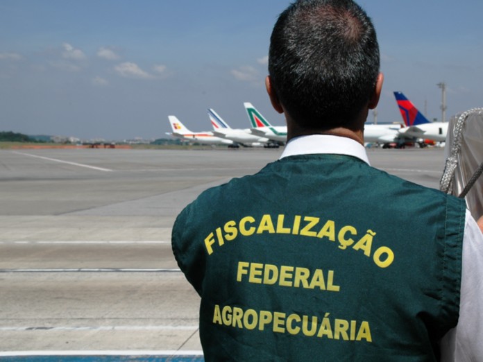 Fiscalização agropecuária (Foto: Mapa/Divulgação)