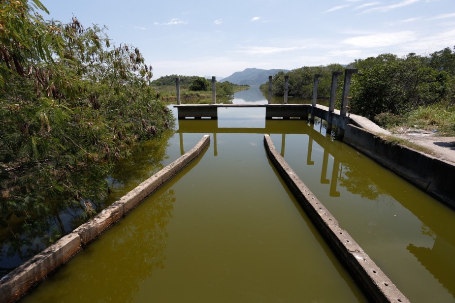O Canal do Camboatá sofre com despejo irregular de efluentes há anos, dizem os ambientalistas; prefeitura diz que busca solução definitiva