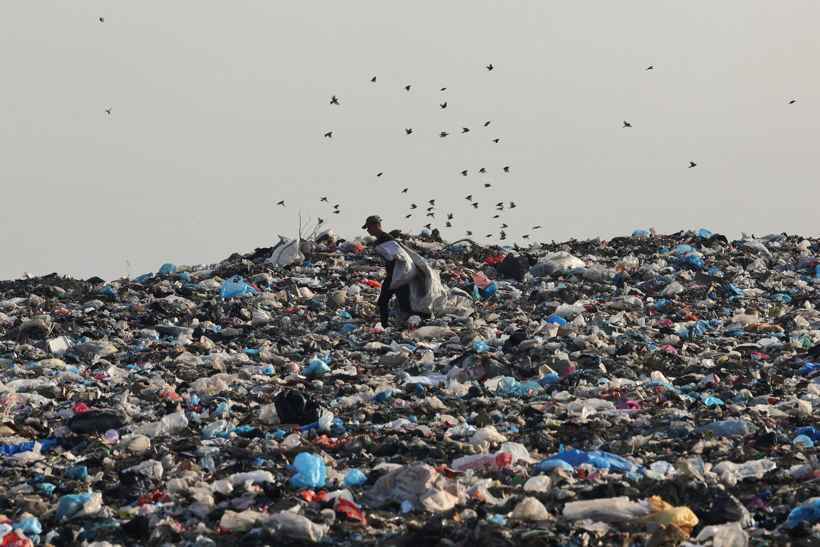Palestinos coletam plástico de um lixão a leste da cidade de Gaza — Foto: MOHAMMED ABED/AFP