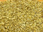 Produtores de trigo do RS estão preocupados com o futuro da safra