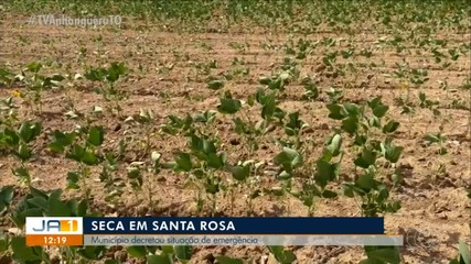 Município de Santa Rosa do Tocantins decreta situação de emergência por causa da seca