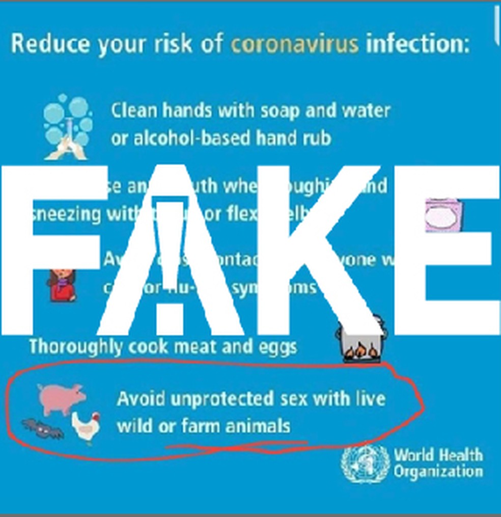 É #FAKE que OMS orientou evitar sexo desprotegido com animais para prevenir coronavírus — Foto: Reprodução