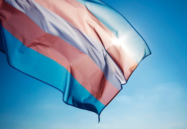 bandeira trans (Foto: Reprodução/Twitter)