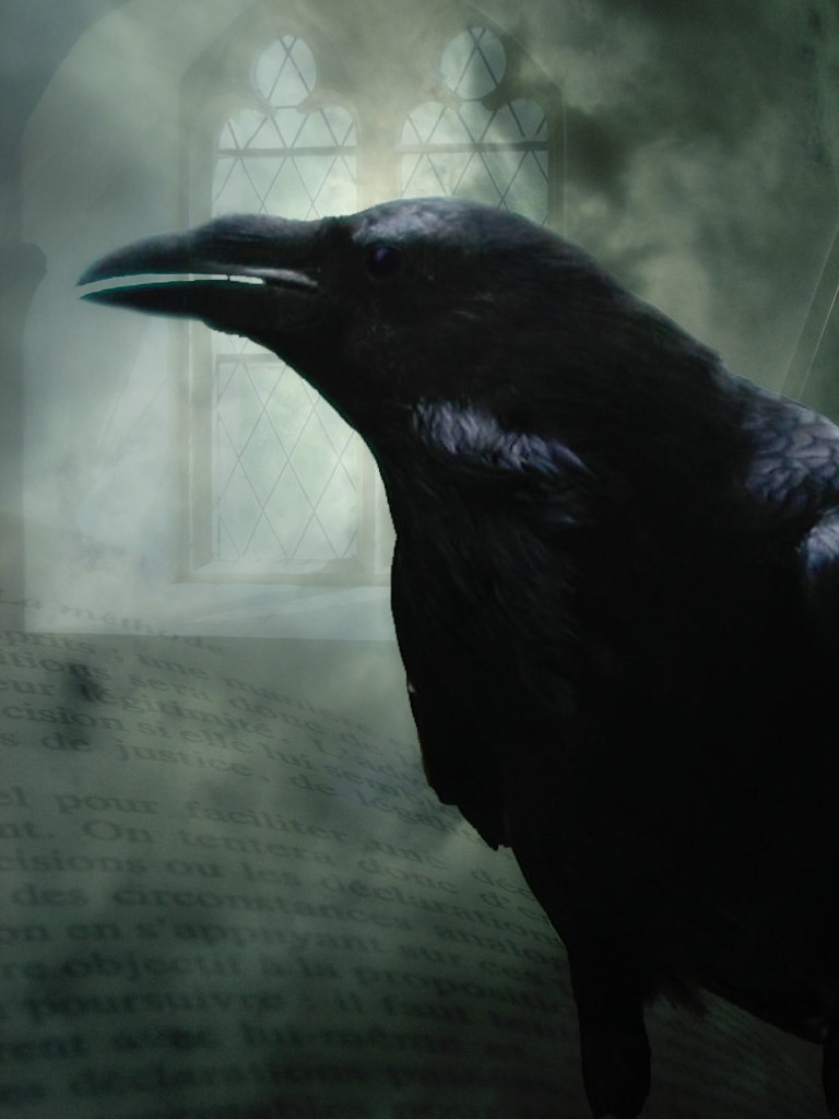 Tradução de Machado de Assis de O Corvo confere uma identidade nacional à obra de Edgar Allan Poe (Foto: Creative Commons/Flickr) Tradução de Machado de Assis de O Corvo confere uma identidade nacional à obra de Edgar Allan Poe (Foto: Creative Commons/Flickr)