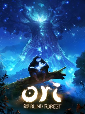 G1 - G1 jogou: 'Ori and the Blind Forest' é jogo de plataforma inspirado e  poético - notícias em Games