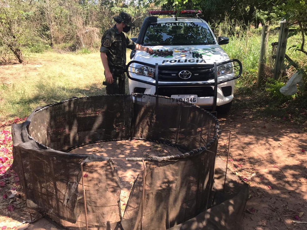 Policiais apreenderam também um rebolo, espécie de "ringue" onde acontecem as brigas de galos — Foto: Polícia Ambiental/Divulgação