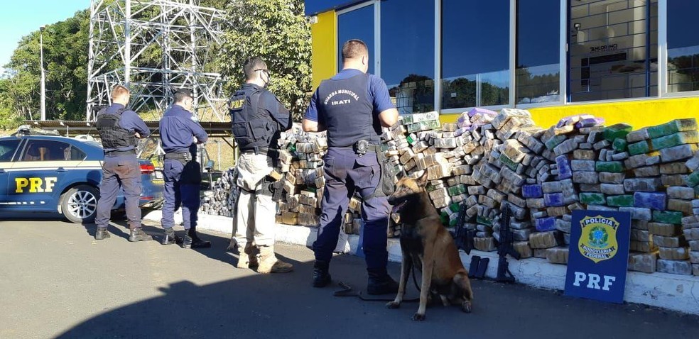 Com a ajuda de cães farejadores, armas e maconha foram encontradas em compartimento de ônibus, na BR-277, em Irati — Foto: PRF/Divulgação