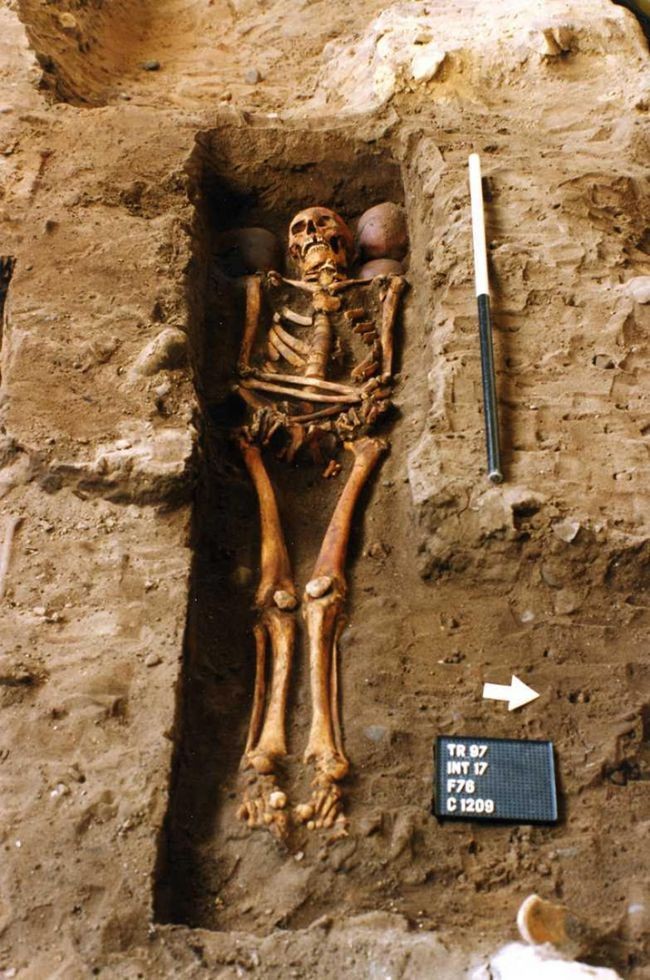 Esqueletos foram enterrados com 4 outros crânios decapitados (Foto: Reprodução FAS Heritage)