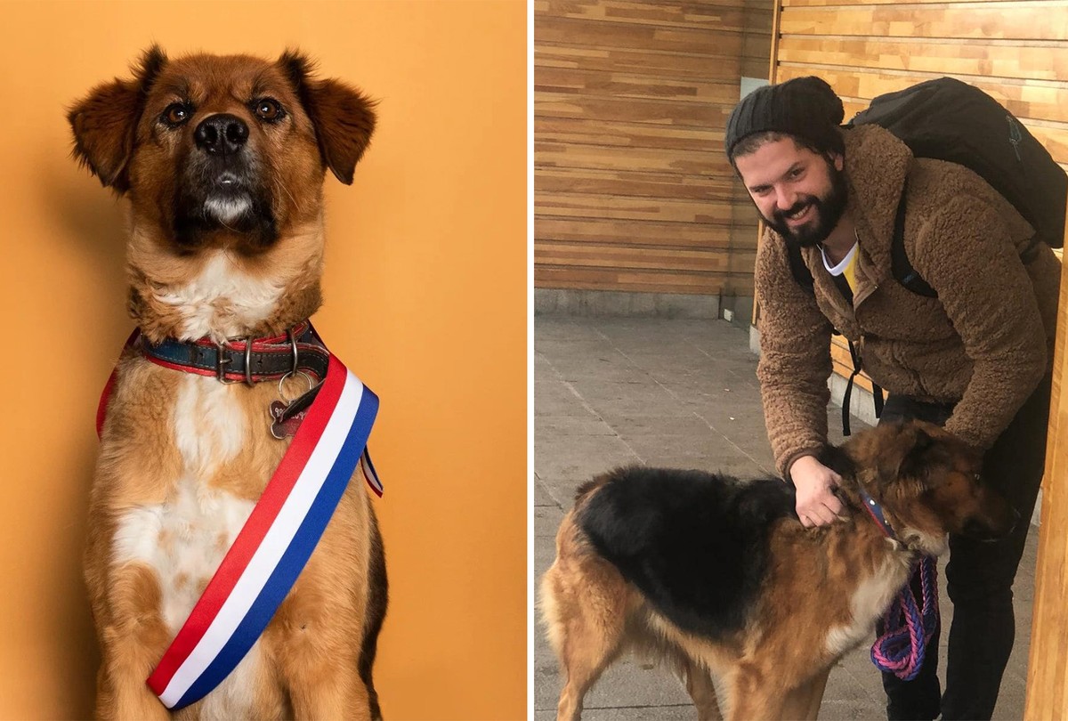 Brownie: conheça o ‘primeiro-cão’ do Chile, sucesso nas redes sociais | Pets