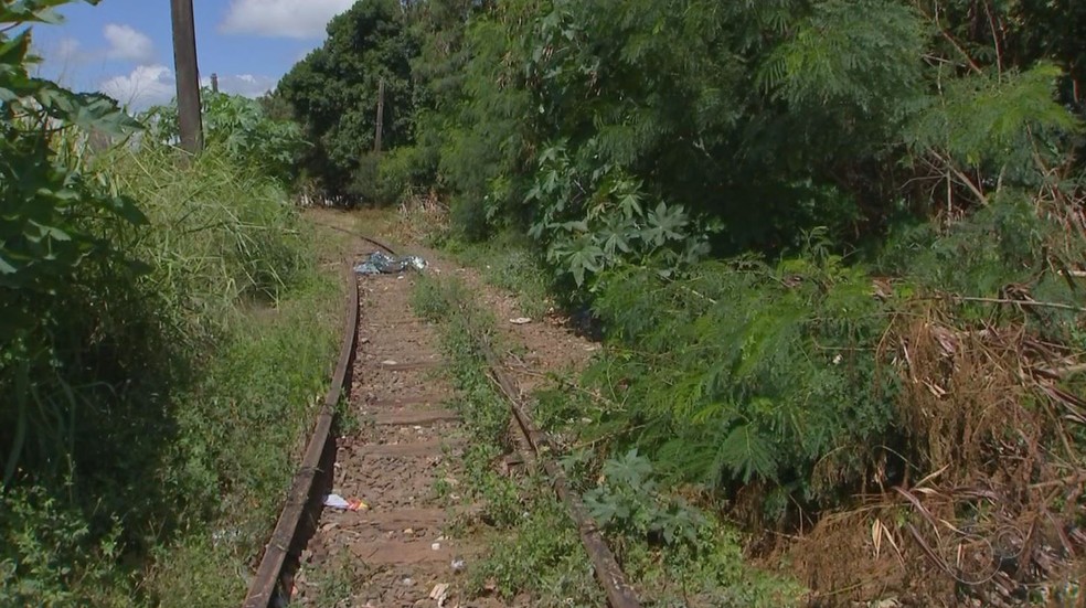 Jovem de 19 anos confessou que matou pessoal perto da linha férrea no bairro Paulo Aires, em Itapetininga (SP) — Foto: Reprodução/TV TEM