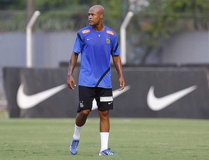 Marcos Assunção (Foto: Ricardo Saibun / Divulgação Santos FC)