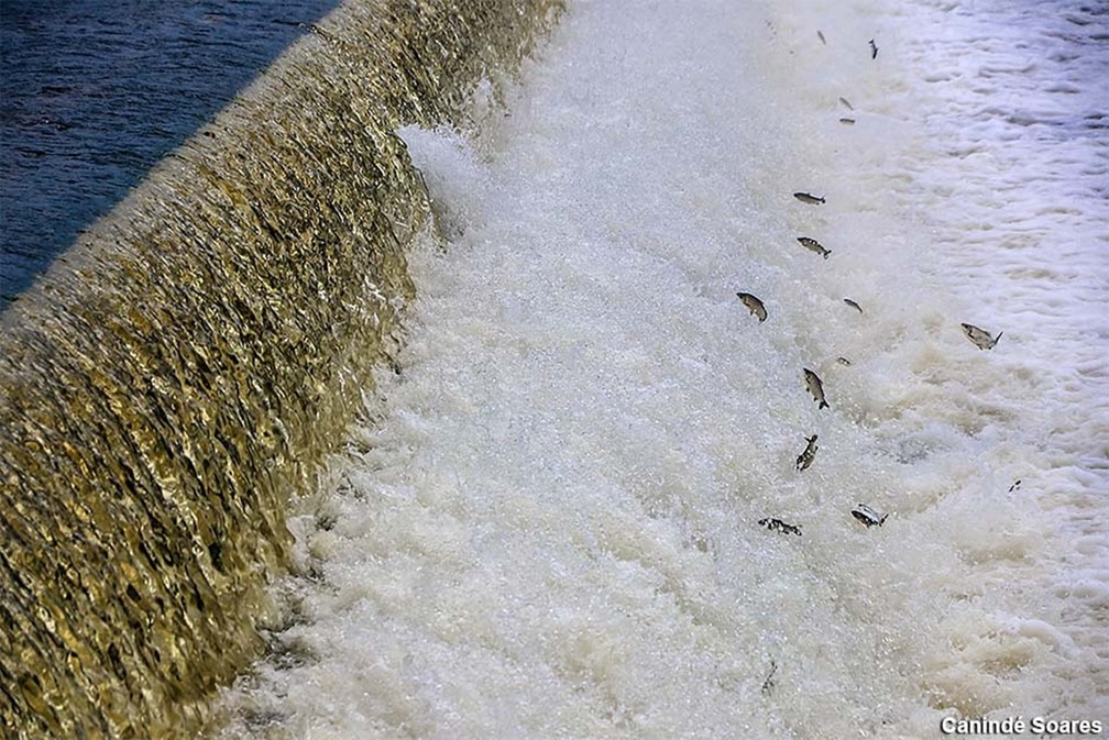 Barragem de Oiticica, em Jucurutu — Foto: Canindé Soares