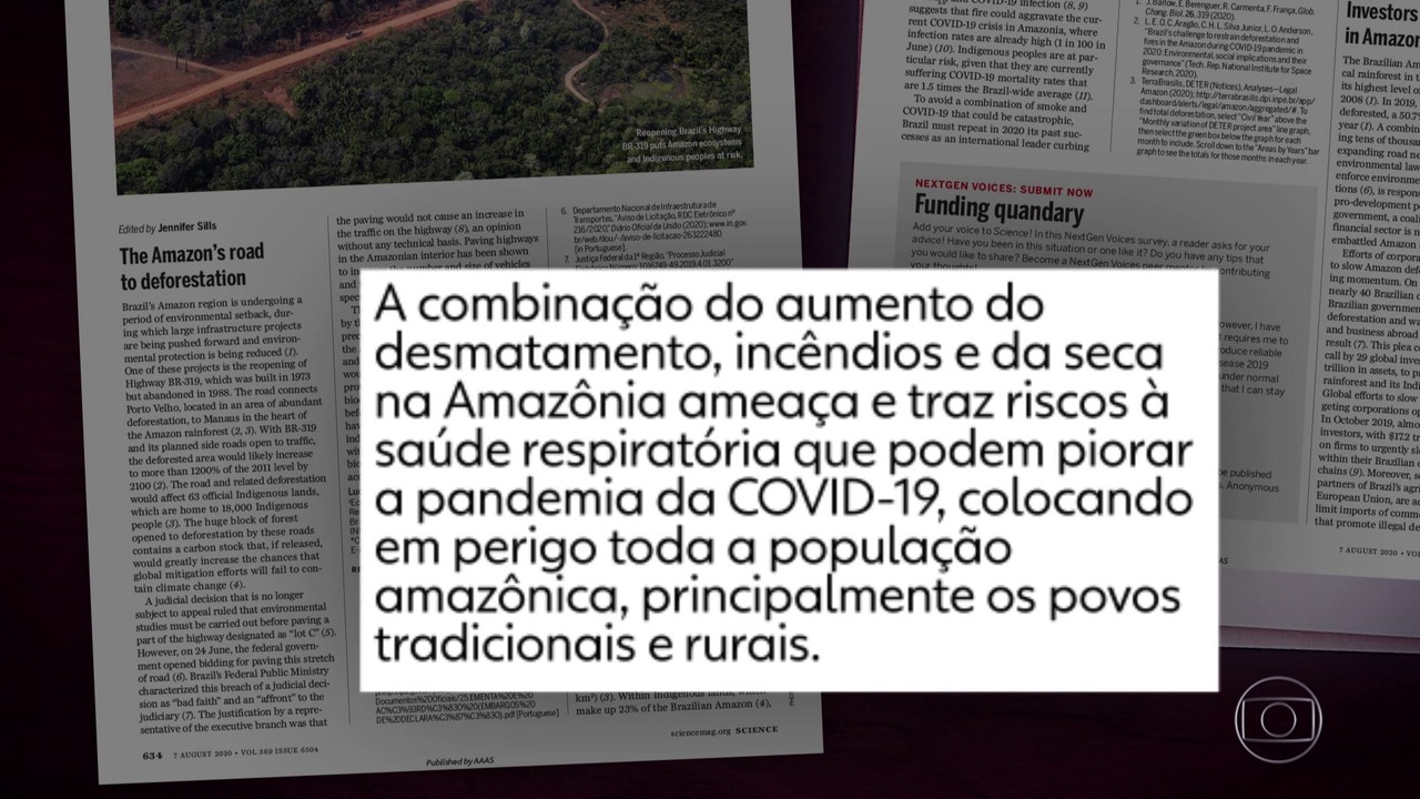 Carta de cientistas mostra como incêndios na Amazônia colocam em risco a saúde