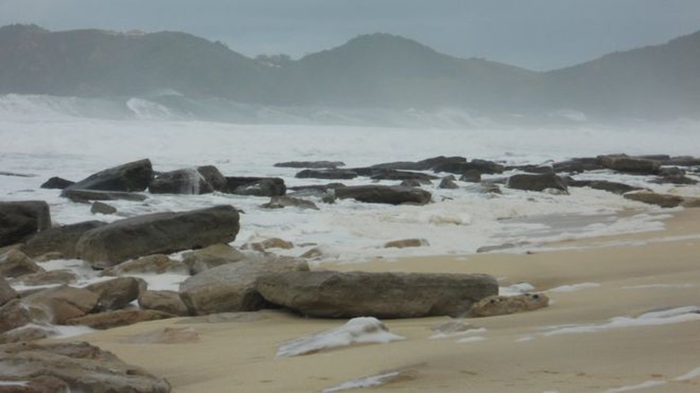 Darwin esteve no Brasil em 1832 e 1836 e descreveu rochas de praia — Foto: Kátia Leite Mansur/BBC