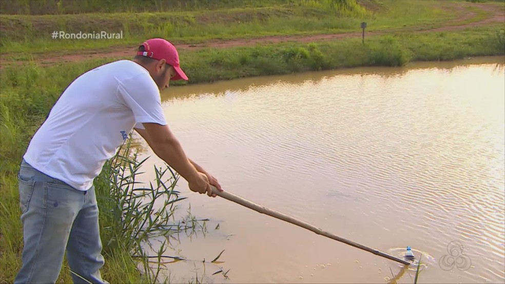 Sal Na Piscicultura Aprenda Truques Para Cuidar Da Agua Dos Peixes Em Cativeiro Rondonia G1