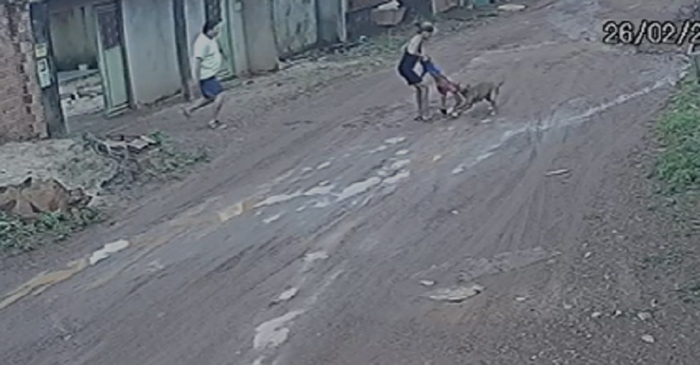 Mãe tenta salvar filho de ataque de cachorro — Foto: Reprodução