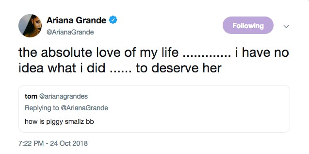 A declaração de amor de Ariana Grande por seu porquinho (Foto: Twitter)