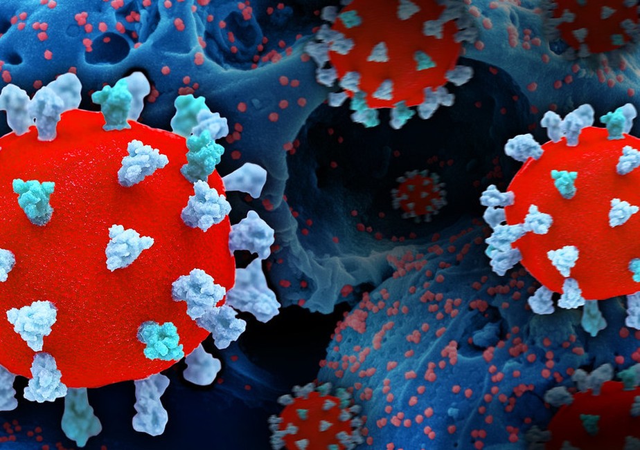 Representação criativa do Sars-CoV-2, exibindo impressões 3D de partículas de vírus (coloridas em vermelho e azul-petróleo/azul); a superfície vermelha do vírus é coberta com proteínas spike petróleo/azul