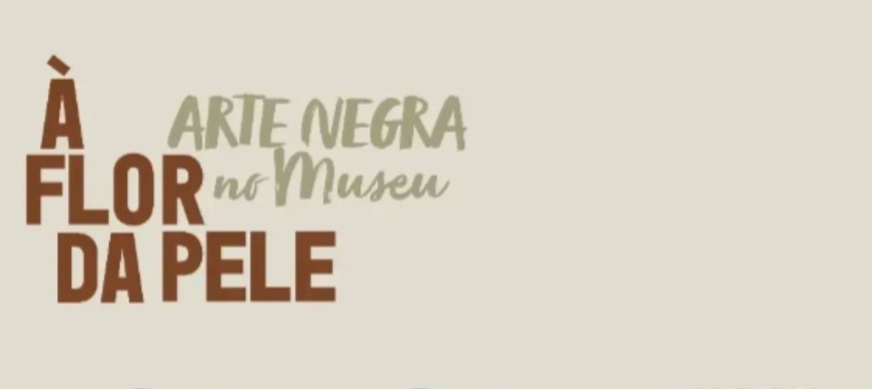 A exposição “À Flor da Pele: Arte Negra no Museu”, dedicada a artistas negros mato-grossenses, marca a reabertura do Museu de Arte e de Cultura Popular (Macp) da (UFMT).  — Foto: Reprodução/UFMT