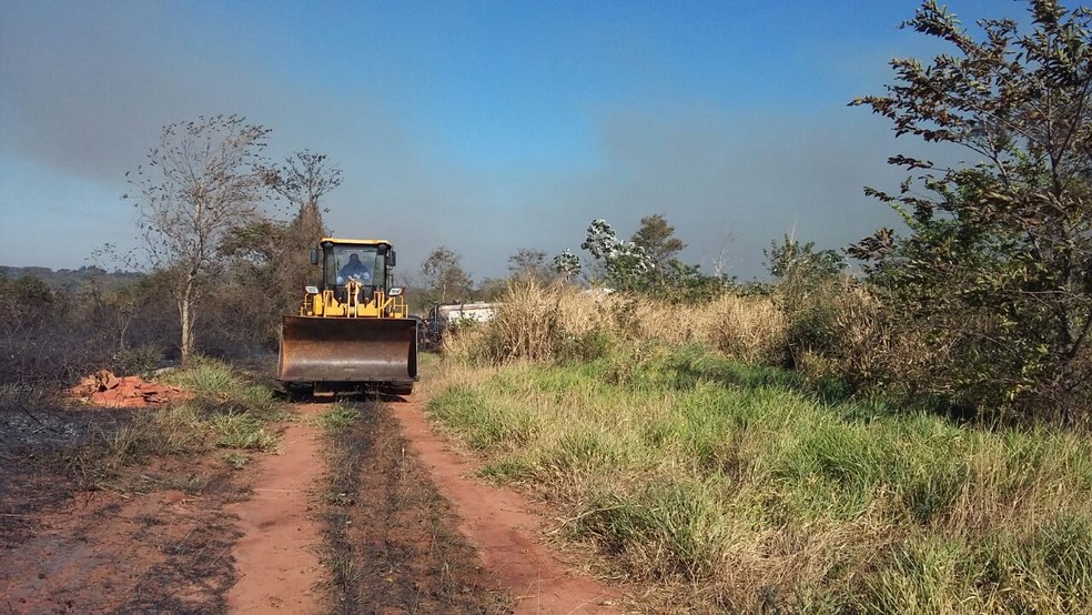 Incêndio atingiu reserva florestal em Presidente Epitácio (Foto: Djalma Weffort/Apoena)