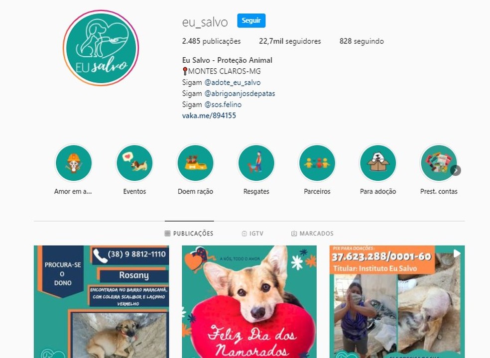 ONG Eu Salvo compartilha histórias dos animais resgatados nas redes sociais — Foto: Reprodução/Instagram 