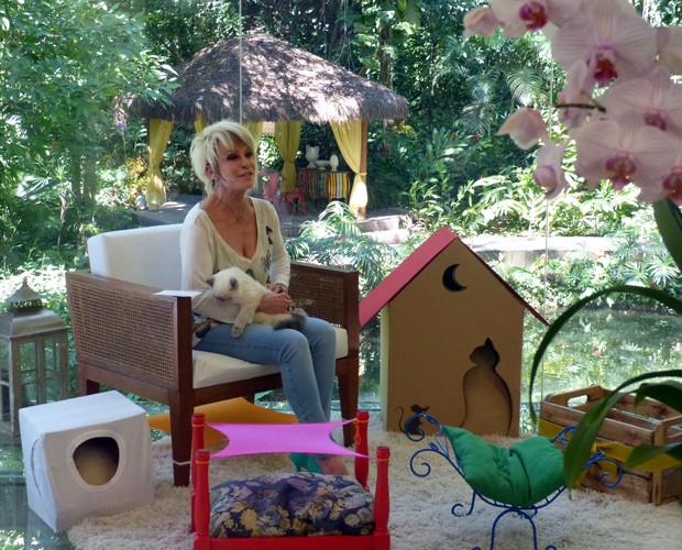 Ana Maria dá truques para acomodar seus gatos em casa (Foto: Mais Você/TV Globo)
