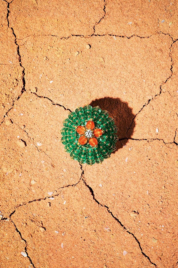 Cartier's concept was inspired by a rather more prickly natural phenomenon - the cactus (Foto: Chanel)