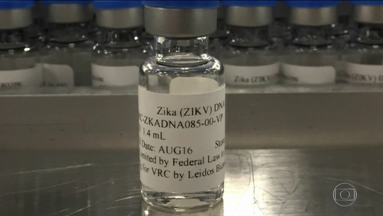 Testes da vacina contra vírus da zika começam em janeiro no Brasil