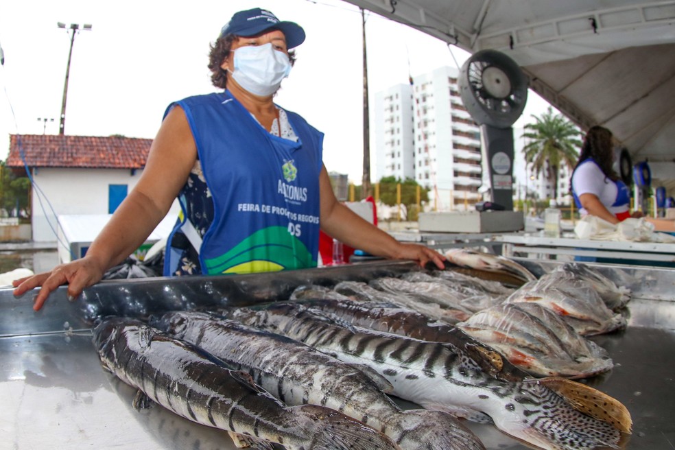 Feirão do Pescado' tem peixes com preços a partir de R$ 9 em Manaus | Amazonas | G1
